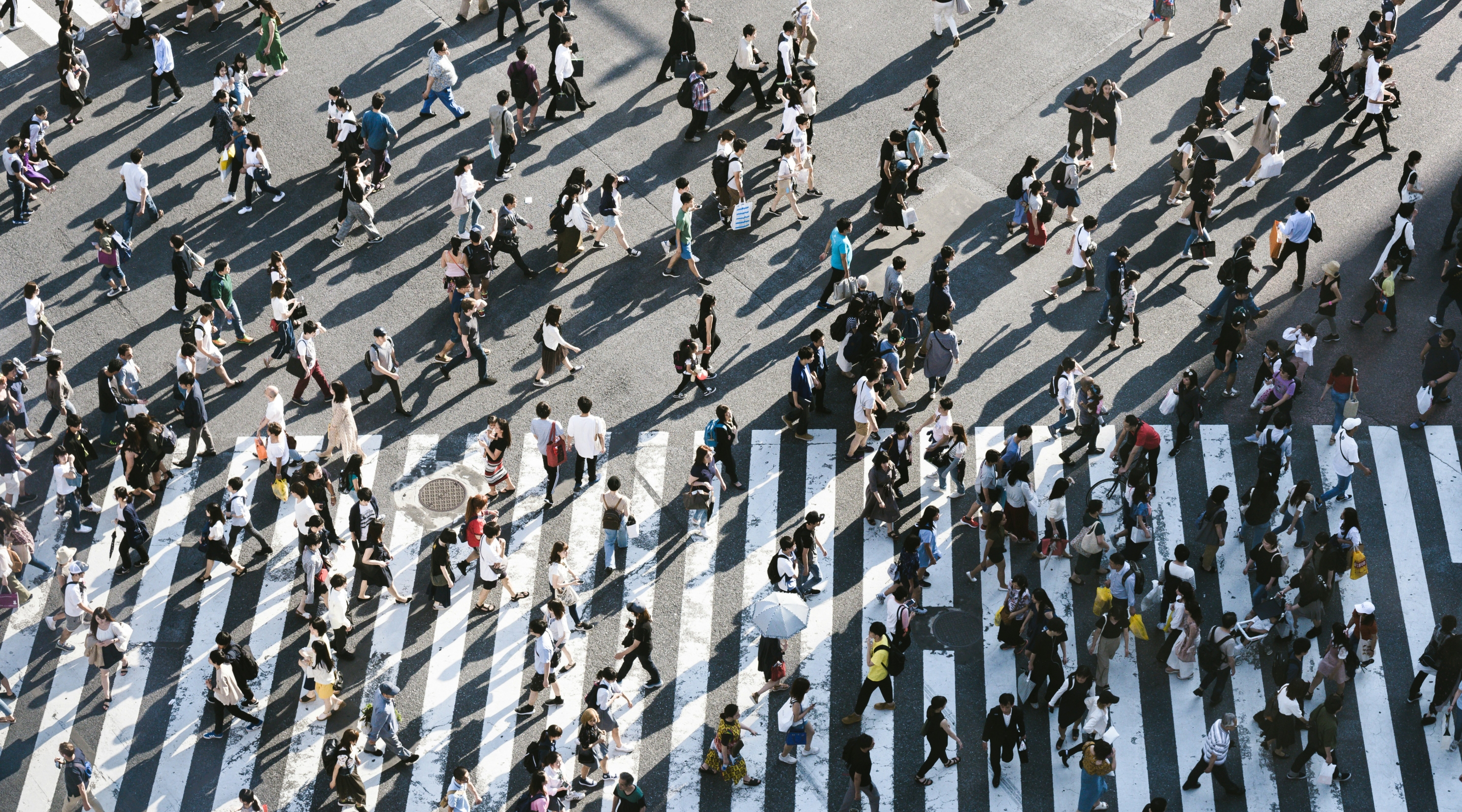 many people crossing a road