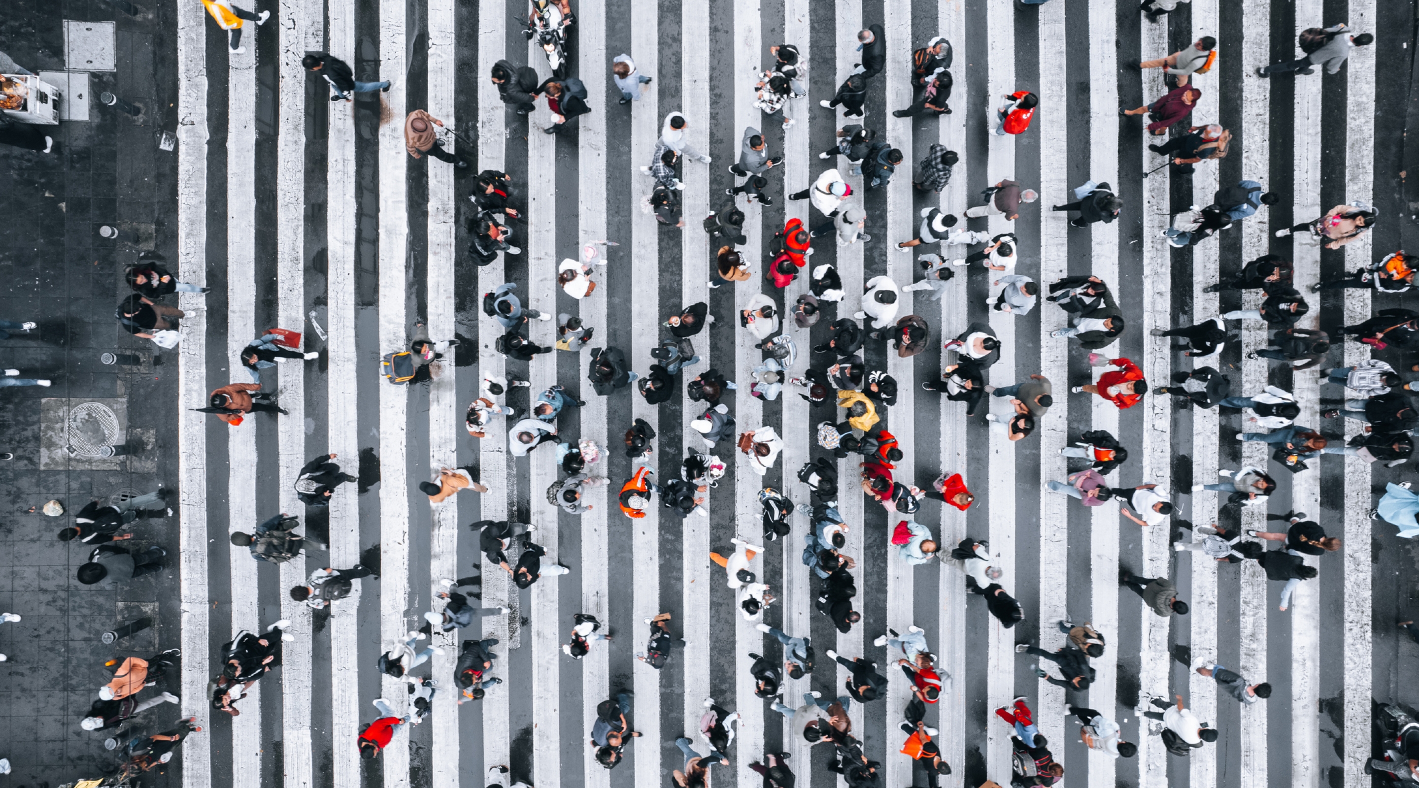 Sondaggi politici e di opinione