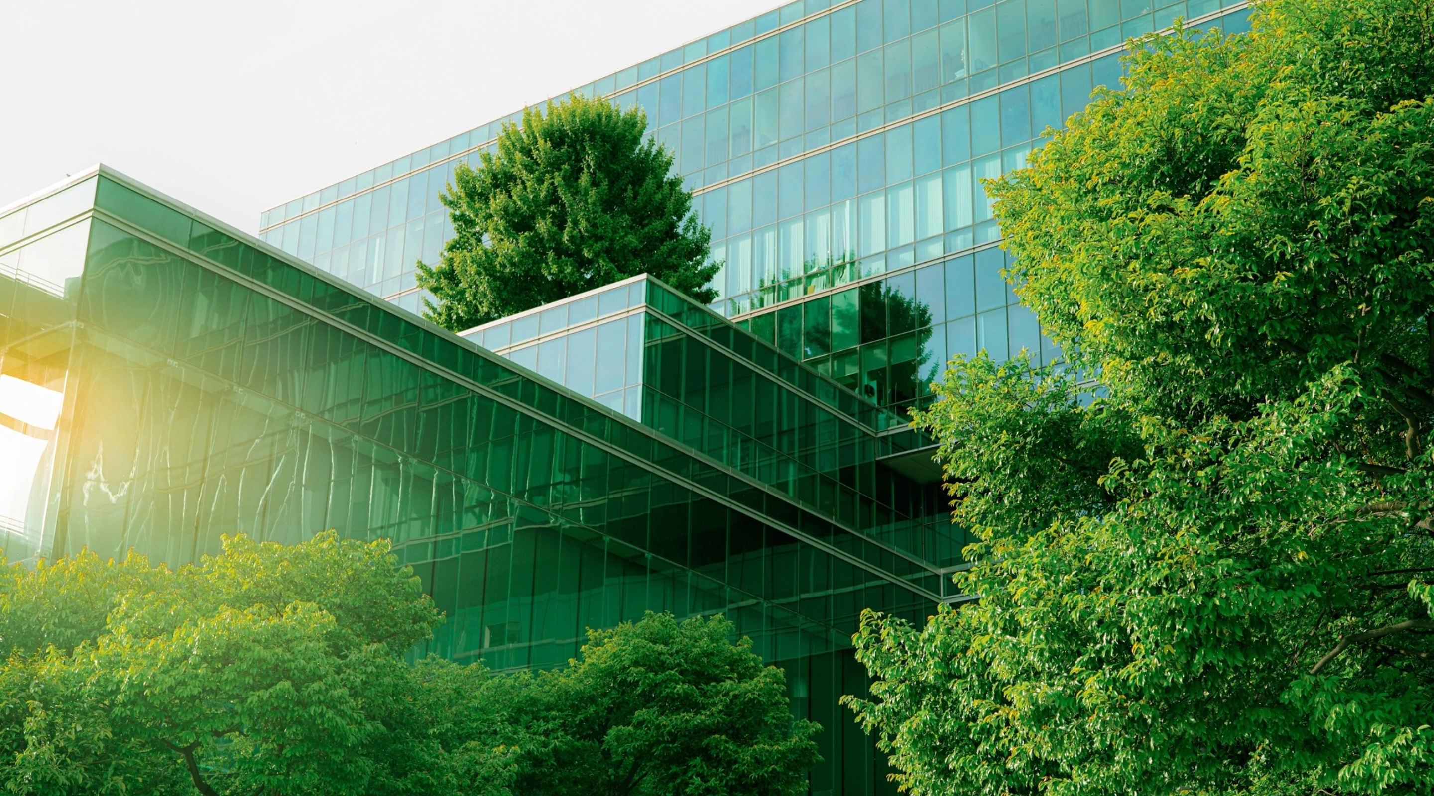 Ipsos supporting your Sustainability Journey