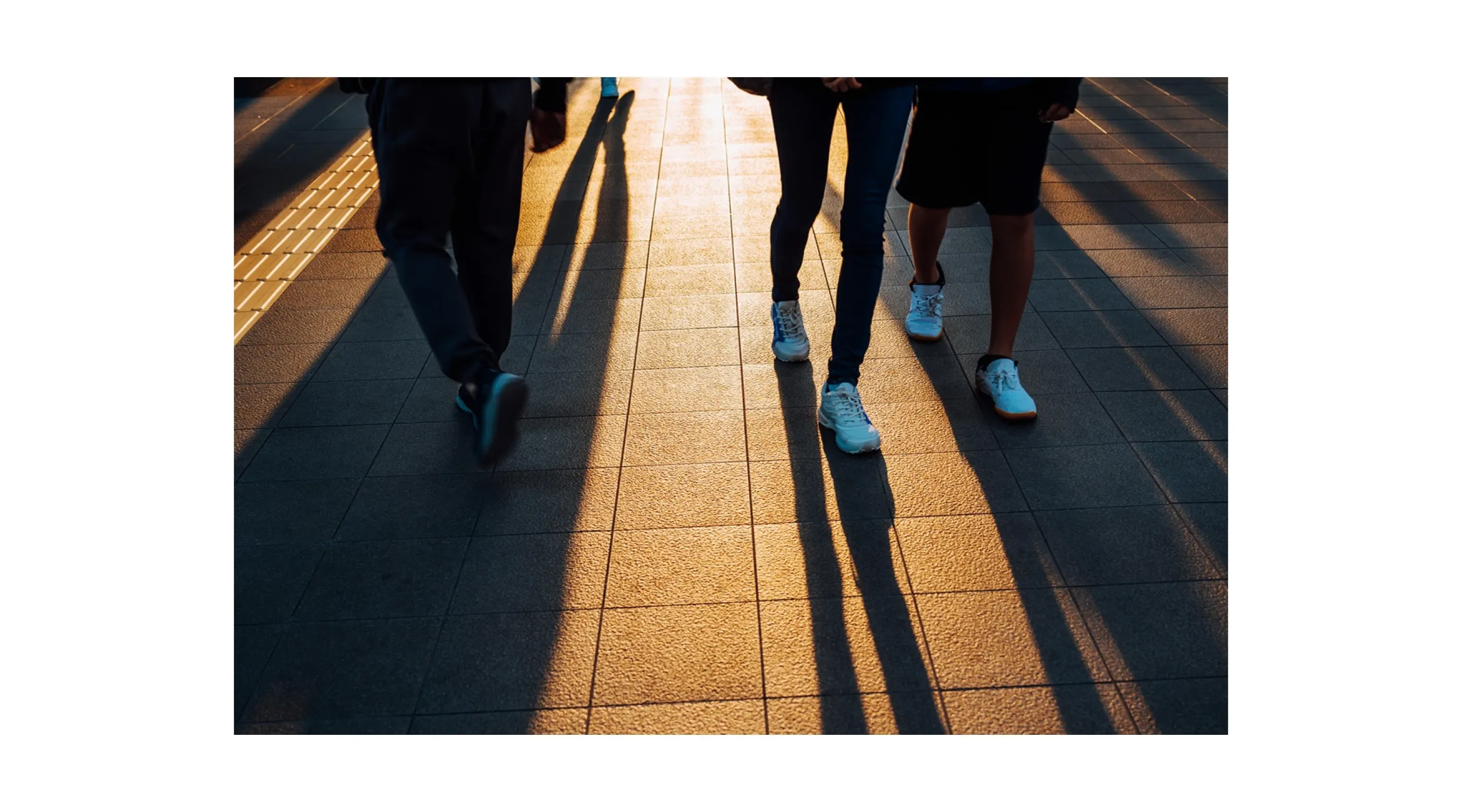 Ipsos Year in Review 2025