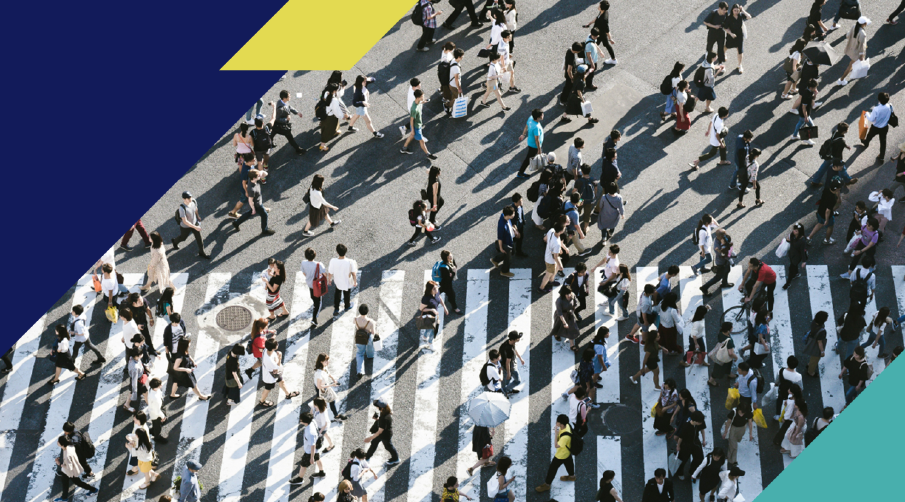 Gros plan sur les sondages Omnibus