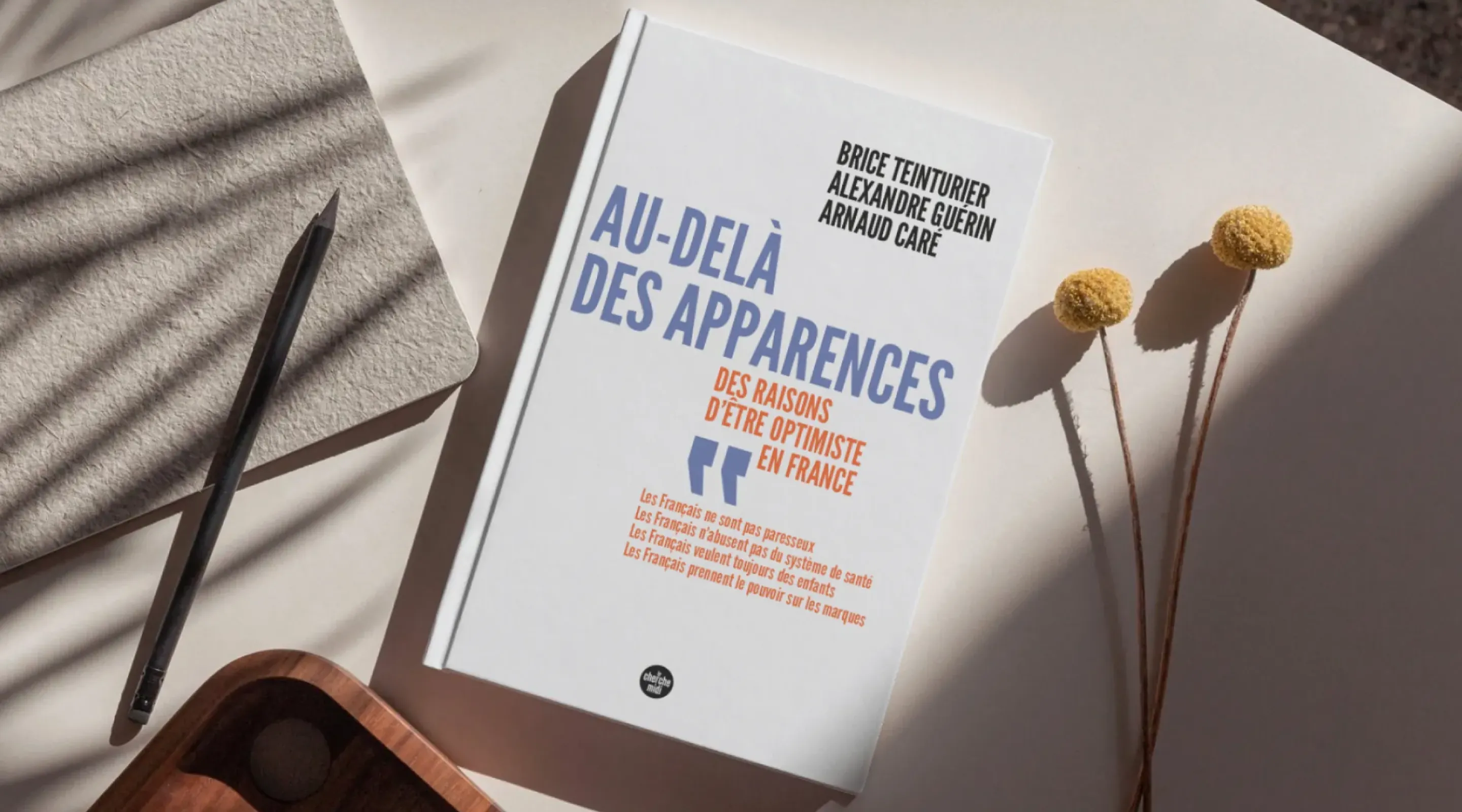 Ipsos bva | Au-delà des apparences | Société