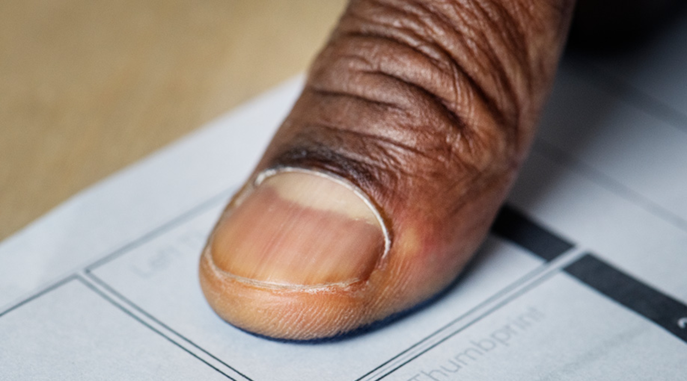 Nearly half of South Africans feel politically homeless ahead of local elections 