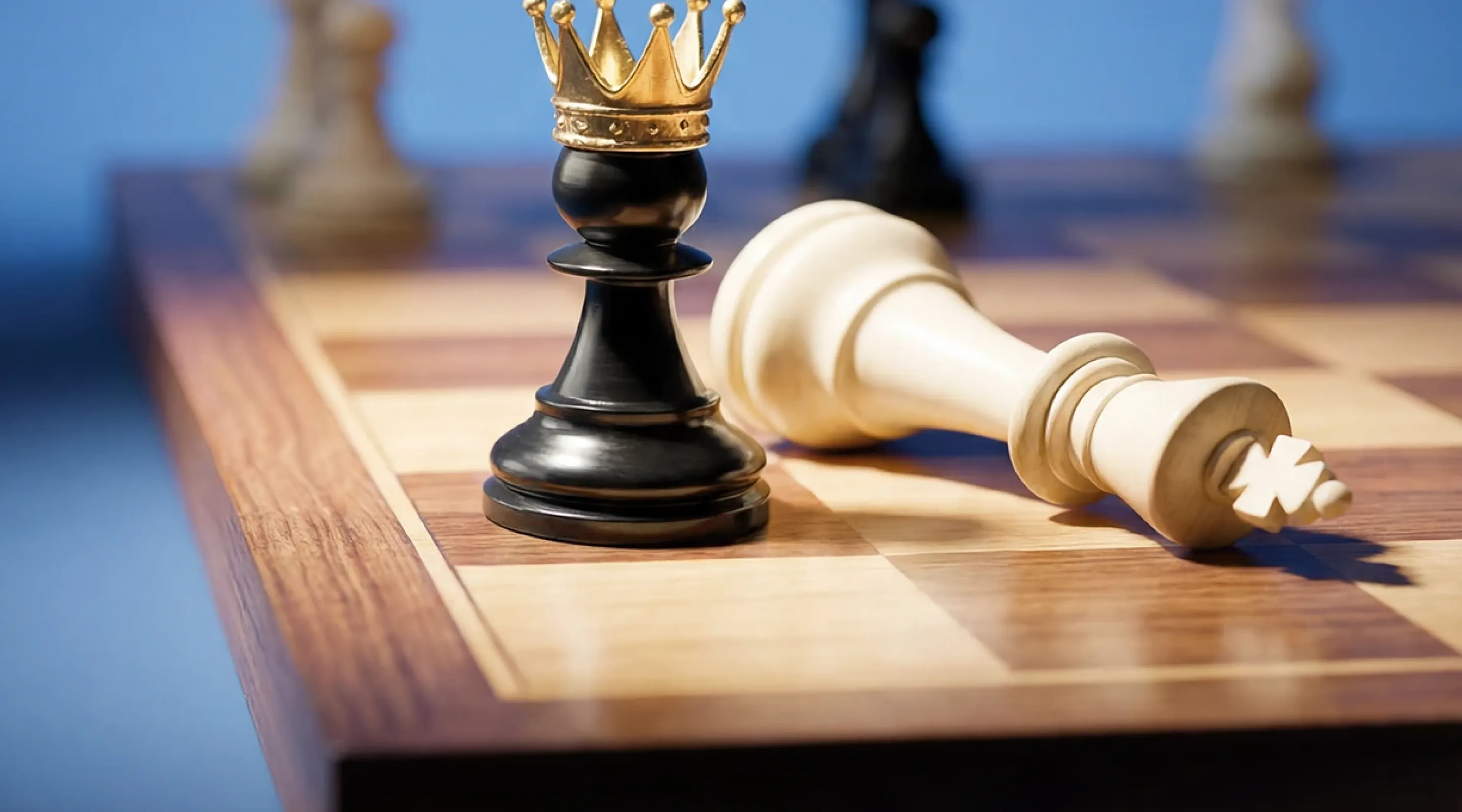 El factor exceso - Ipsos