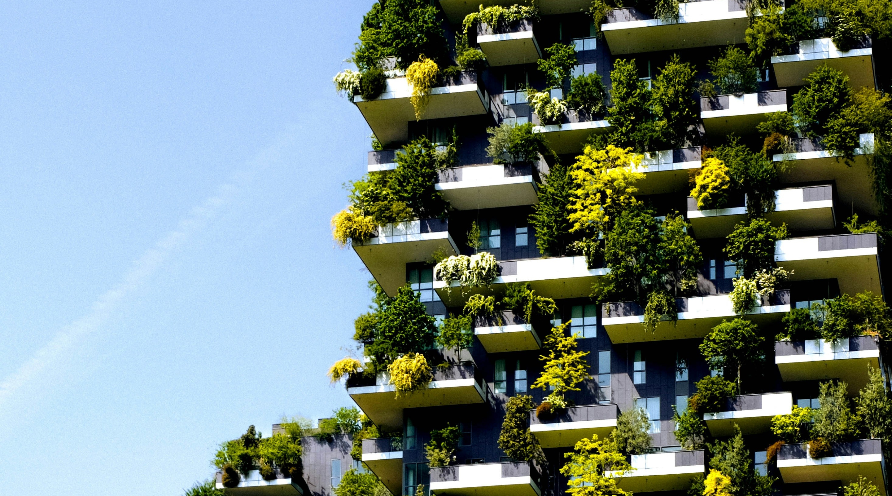 Susainable green building