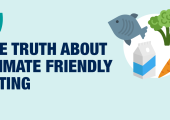 Webinar: The Truth About Climate Friendly Eating | Ipsos Denmark