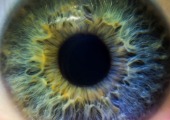 Perils of Perception