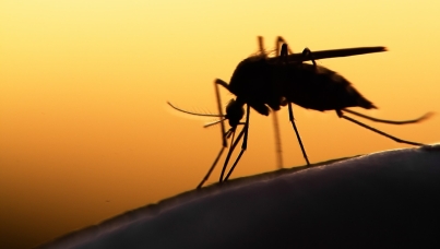 Ipsos Global @dvisor – Zika Virus