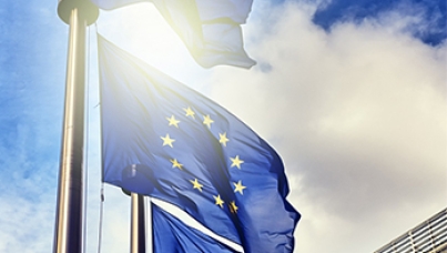 EU flags