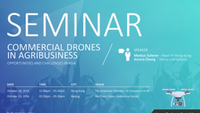 UAV/ Commercial Drone industry