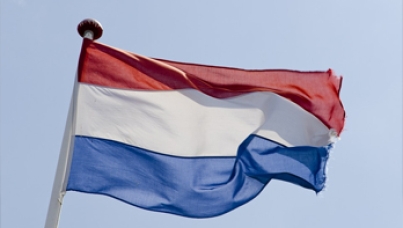 Dutch Provincial Elections Polling
