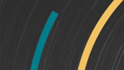 Ipsos Global Trends 2017