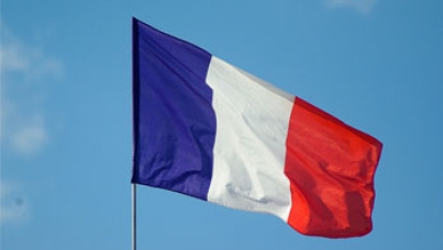 Ipsos Public Affairs in France and the Parliamentary Elections