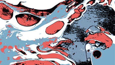 Ipsos Understanding Society: Beyond Populism