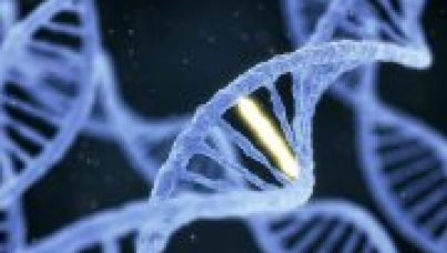 Conquering Complexity: The Coming Revolution in Oncology Biomarker Testing