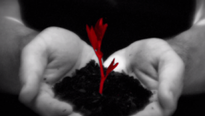 Video: Ipsos UU – Bringing Life to Life 