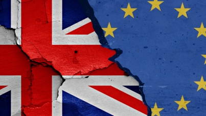 Reactions to Brexit across 16 Countries