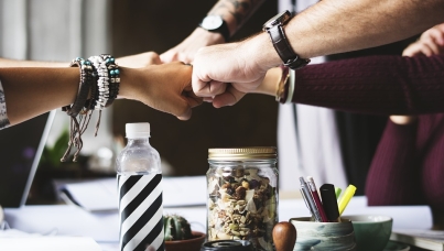 Ipsos training konference