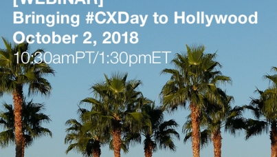 Palm Trees California