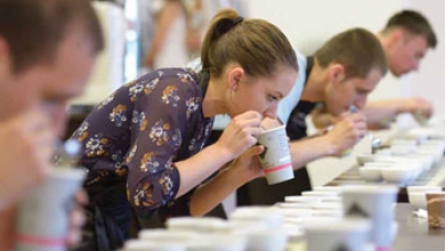 Identifying consumer preference segments