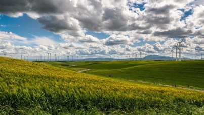 Устойчивое развитие