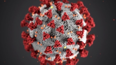 Understanding the coronavirus crisis