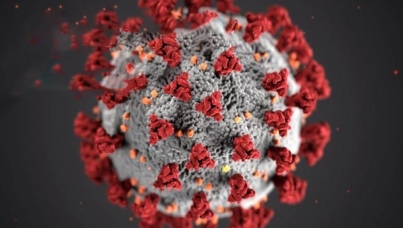 Lessons from the coronavirus crisis | Webinar | Ipsos