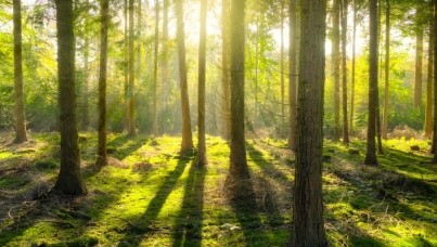 Ipsos Sustainability Webinar 2021