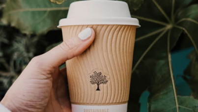 Устойчивое развитие