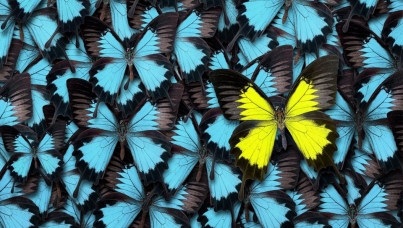 KEYS - Standing out from the crowd | Ipsos