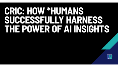 CRIC: How *Humans Successfully Harness the Power of AI Insights