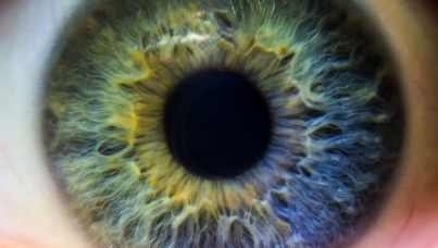 Perils of Perception