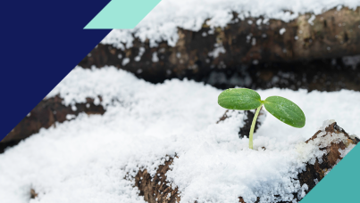 [WEBINAR] What You Need to Know About Canada’s Endurance Economy