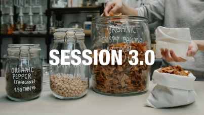 session 3