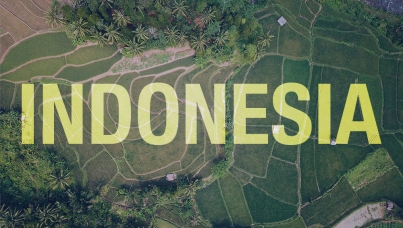 Ipsos | Almanac | indonesia