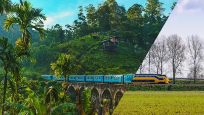 Ipsos | Brand Success | White papers