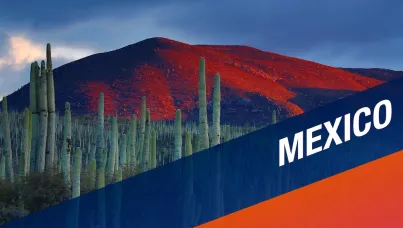 Ipsos | Almanac | Mexico