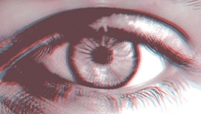 Misperceptions Ipsos 