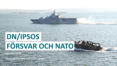 DN_Ipsos