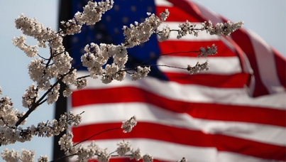 american flag with a flower