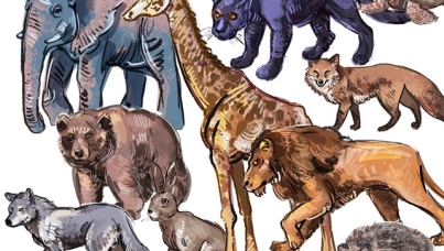 Подведены итоги опыта репутационного исследования на фармрынке