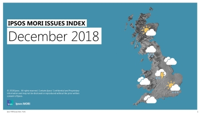 Ipsos Issues Index: December 2018