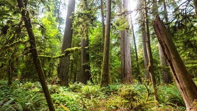 Majority in BC Support Trans Mountain Pipeline Expansion Project