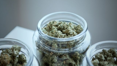 Cannabis