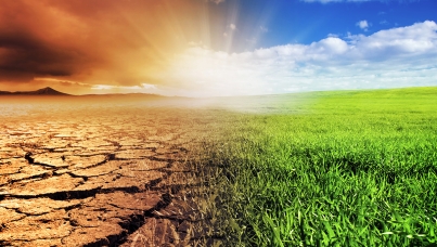 climate change