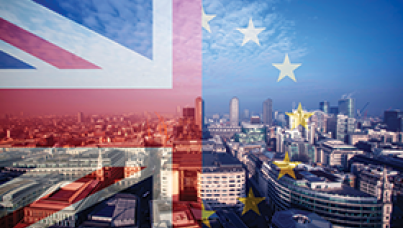 techUK Brexit Members Survey 2019