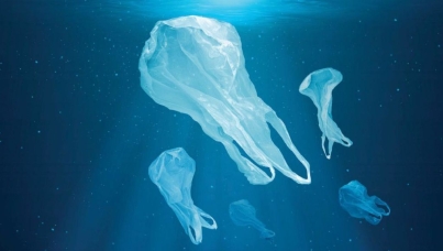 osservatorio il furo del packaging