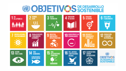 Objetivos de Desarrollo Sostenible (ODS) de la ONU | Ipsos