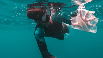 Diver finds a plastic bag