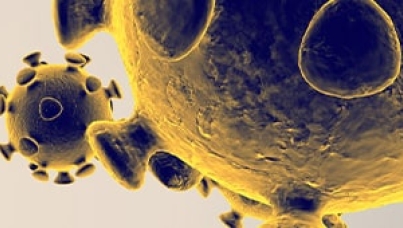 Coronavírus Portugal